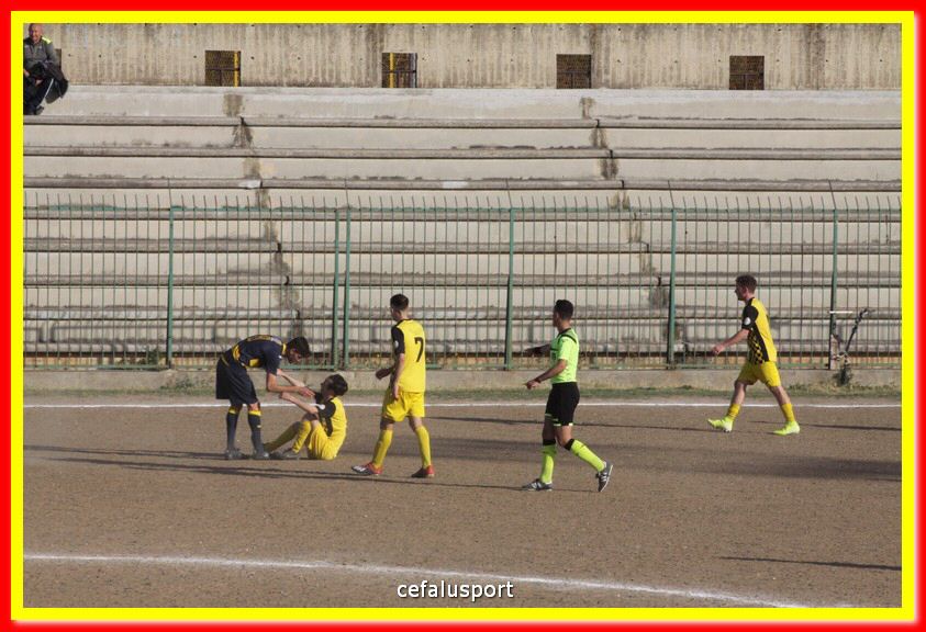 200301 Cepha_Mazara 109.jpg